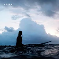 Луна — Dolphins (Remix) — обложка